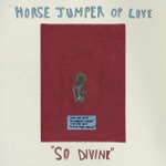 Horse Jumper of Love - Stray Dog