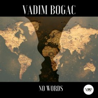 No Words - Single - Vadim Bogac & CamelVIP