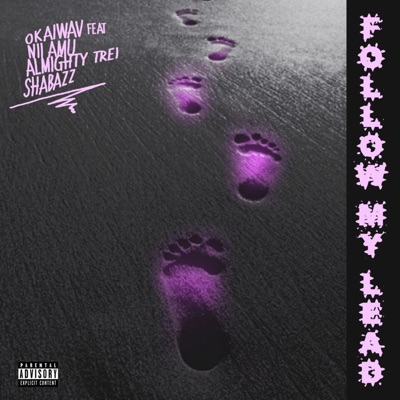 Follow My Lead (feat. Nii Amu, Almighty Trei & Shabazz) - Single