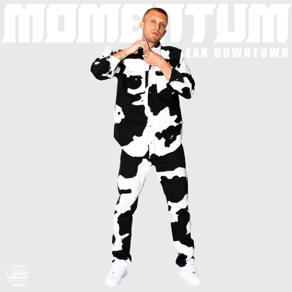 Momentum