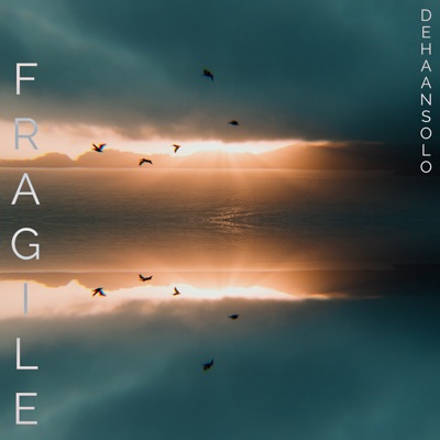 Fragile - Single