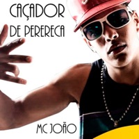 Caçador de Perereca - Single - Mc João & Dj R7