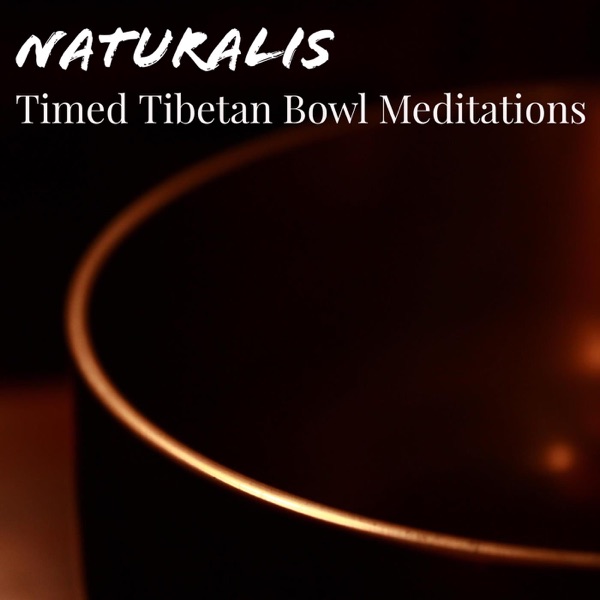 Timed Tibetan Bowl Meditations (Loopable) - EP