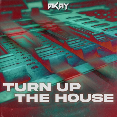 Turn Up the House - Single
