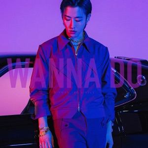 Wanna Do - Single