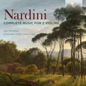 Violin Sonata No. 1 in G Major: I. Andante - Igor Ruhadze, Daria Gorban & Ensemble Violini Capricciosi