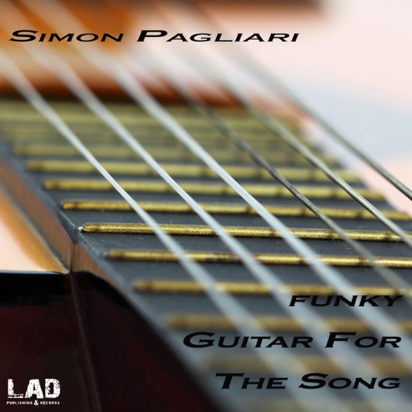 Funky Guitar For the Song