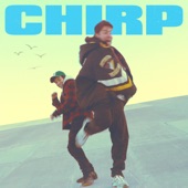 Chirp artwork