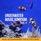 Sea Stars - Yoga Music Kids Masters lyrics