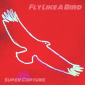 Fly Like a Bird artwork