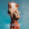 La Sanatera (feat. Peteco Carabajal) - Los Tipitos lyrics