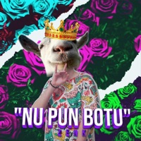 Nu Pun Botu - Single - Zenk