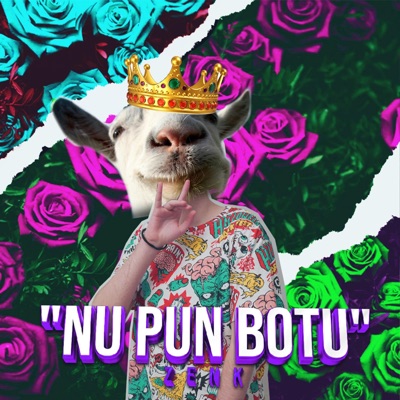 Nu Pun Botu - Single
