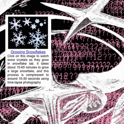 Snwflake (feat. Jailbr3akfl3x) - Single