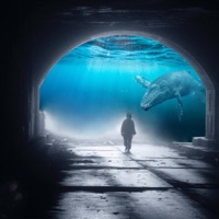 Whale Hunter - Single - Travis JR