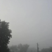 Connection (feat. Polluting) - Single - Overture