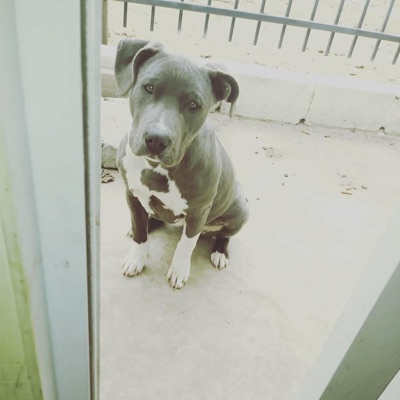 Best Friends - Single