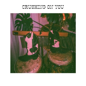 Crushing on You - Single