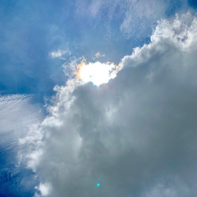 Daylight - Single
