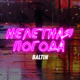 Нелетная погода Baltin