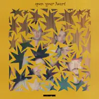 Open Your Heart — Citizen