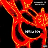 Burna Boy - Single - Moneymade Eli & Ndotspinalot