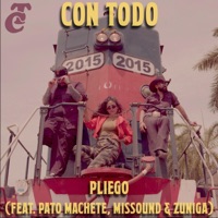 Con Todo (feat. Pato Machete, Missound & Zuniga) - Single - Pliego