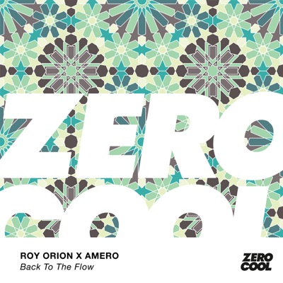 Back To the Flow - Single