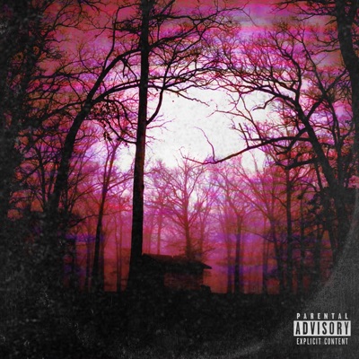 Ain't Shit (feat. Awulf & Shefdachef) - Single