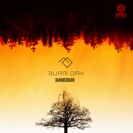 Bannockburn Burr Oak