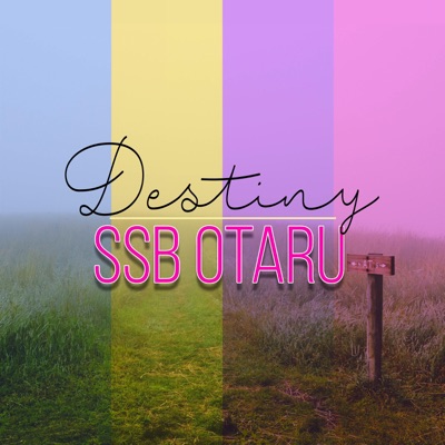 Destiny - Single