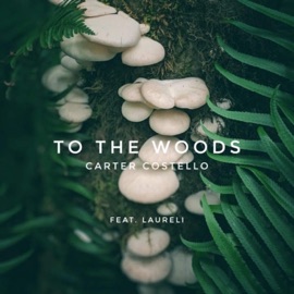 To the Woods (feat. Laureli) Carter Costello
