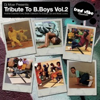 Tribute to B.Boys Vol.2 - Moar