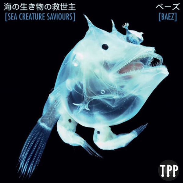 Sea Creature Saviours