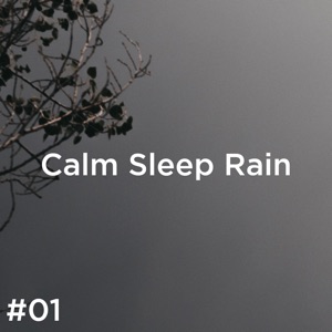 #01 Calm Sleep Rain