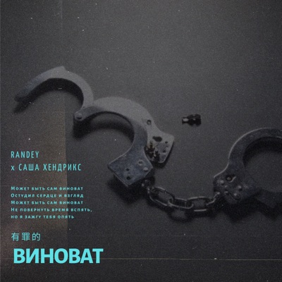Виноват (feat. Саша Хендрикс) - Single