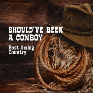 Should've Been a Cowboy: Best Swing Country, New Positive Pub Country Playlist, Summer Selection 2019