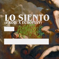 Lo Siento - Single - P.FLXWS