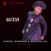 Pursue, Overtake & Recover All - Arise & Shine artwork