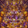 Electric Universe - Lakshmi