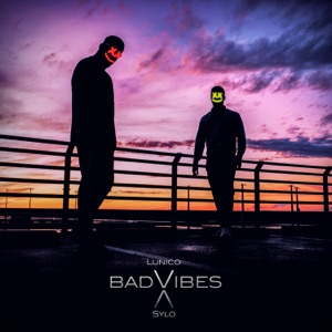 Bad Vibes (feat. Sylo)