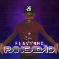 Bagaceira - Single - Flavinho Pancadão