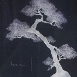 Bonsai Styn, Sebastian Kamae & Sleepermane