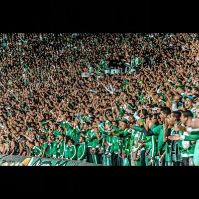 Kip Falson DDS - Somos Curva Sud. الرجاء العالمي