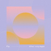 Fly artwork