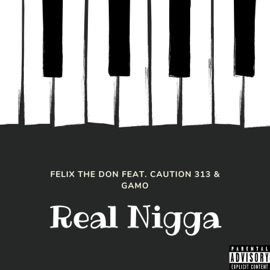 Real N***a (feat. Caution 313 & Gamo) Felix The Don