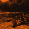 Sunflowers - Single