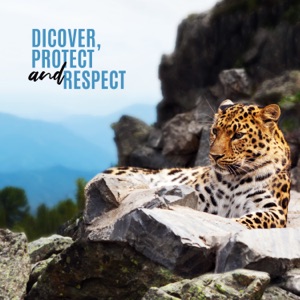 Discover, Protect and Respect