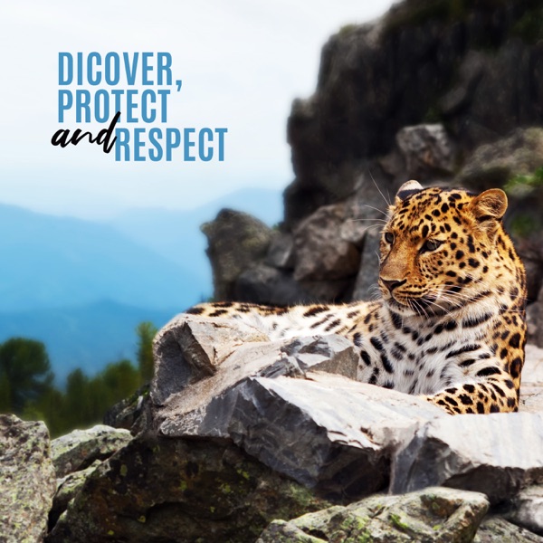 Discover, Protect and Respect