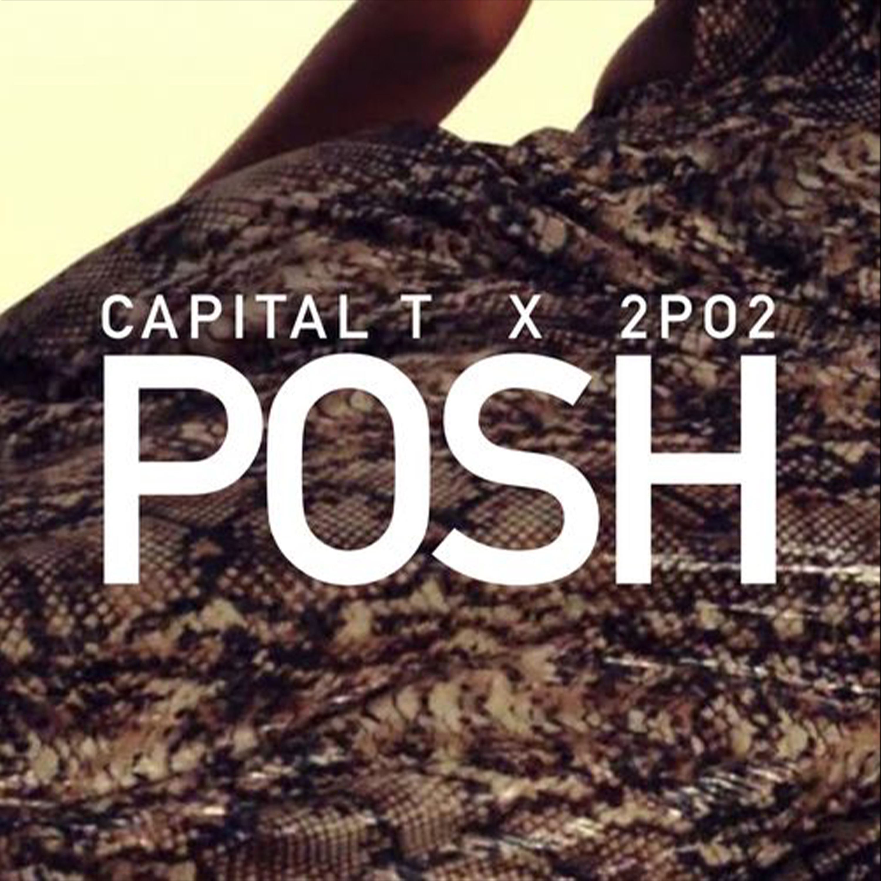 Capital T feat. 2po2 - Posh 2014.MP3